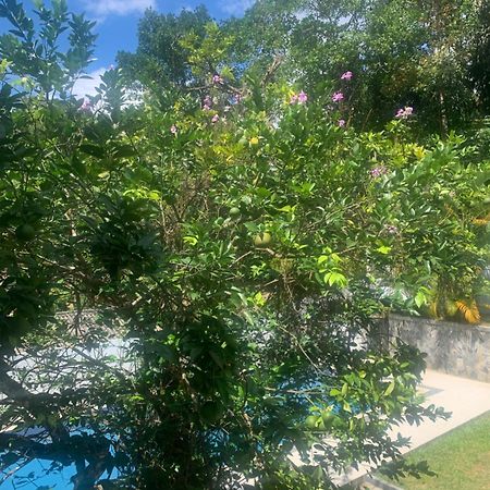 Healand Holiday Bungalow And Restaurant Денияйя Экстерьер фото